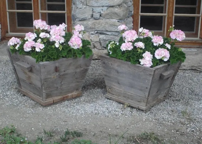 Helene Дом отдыха *